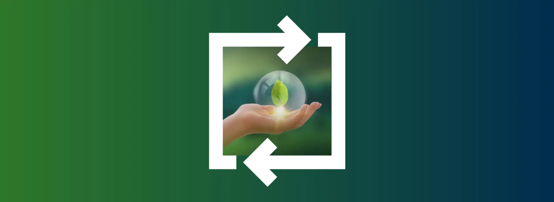 Recyclamine - Recycle & Reuse